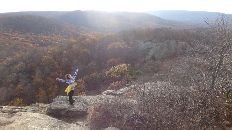 OpenHub's logo represents Fibonacci spiral growth